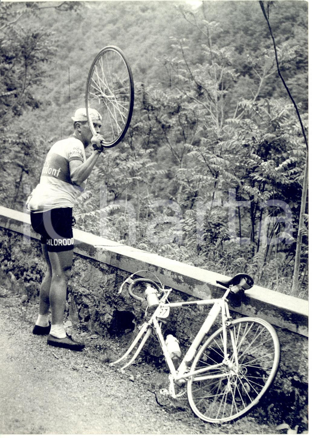 1955 CICLISMO GIRO D'ITALIA 13^ tappa - Foratura di Antonio ULIANA - Foto 13x18