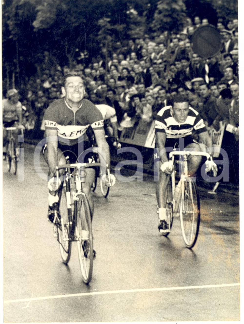 1959 CICLISMO GIRO D'ITALIA Arrivo di di Rik VAN LOOY - Foto 13x18 cm
