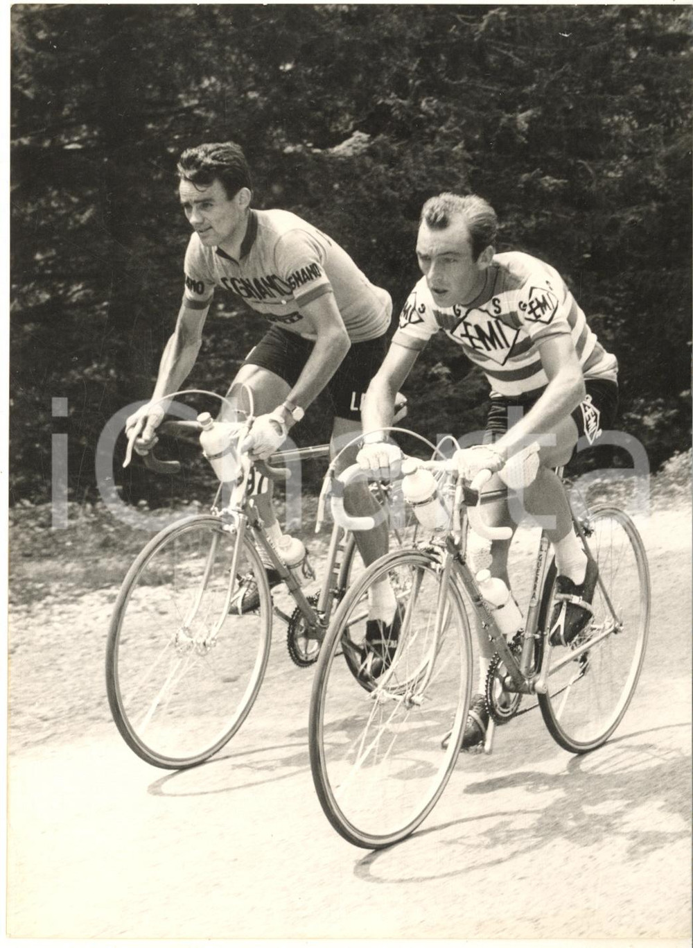 1959 CICLISMO GIRO D'ITALIA 22^ tappa - Charly GAUL e Imerio MASSIGNAN - Foto