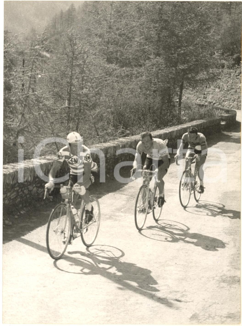 1959 CICLISMO GIRO D'ITALIA Charly GAUL Diego RONCHINI Graziano BATTISTINI Foto