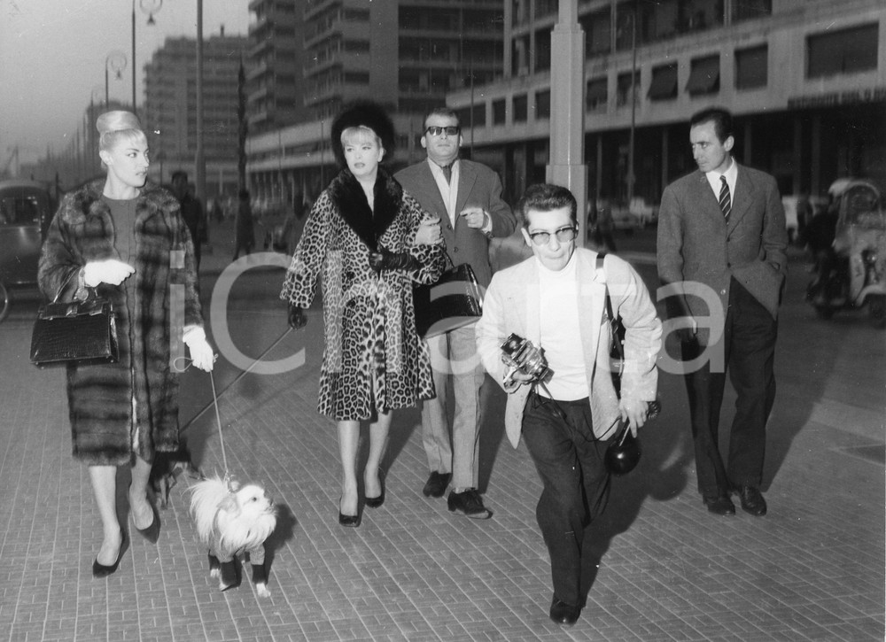 1961 GENOVA Ballerina trans COCCINELLE Jacqueline DUFRESNOY sul lungomare - Foto 1961Fotografia vintage rara d'epoca, che ritrae la celebre attrice e ballerina Coccinelle, pseudonimo di Jacqueline-Charlotte Dufresnoy, nata Jacques Charles Dufresnoy.Timbro archivio Publifoto Genova al verso.FORMATO: 24x18 cm CONDIZIONI: GICHARTA mette in vendita le stampe vintage della collezione Publifoto Genova, per la maggior parte inedita o in tiratura di pochi esemplari. Si tratta di un'ottima opportunit&agrave; di investimento per i collezionisti di fotografie d'epoca.    originale e autentica 1