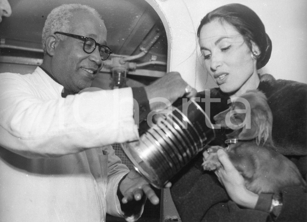 1958 GENOVA Attrice Paola MORI WELLES con il cagnolino di famiglia - Foto 24x18 1958Fotografia vintage rara d'epoca.Timbro archivio Publifoto Genova al verso.FORMATO: 24x18 cm CONDIZIONI: FAIR (lievi increspature marginali e difetti di stampa)ICHARTA mette in vendita le stampe vintage della collezione Publifoto Genova, per la maggior parte inedita o in tiratura di pochi esemplari. Si tratta di un'ottima opportunit&agrave; di investimento per i collezionisti di fotografie d'epoca.    originale e autentica 1