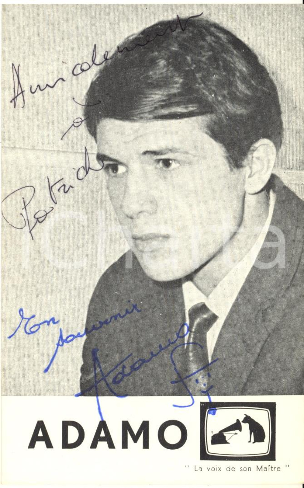 1963 BELGIO Cantante Salvatore ADAMO - AUTOGRAFO su foto seriale 8x13 cm  Fotografia seriale, pubblicitaria "La Voix de son Maitre", con dedica autografa.CONDIZIONI: GFORMATO: 8x13 cm    originale e autentica 1