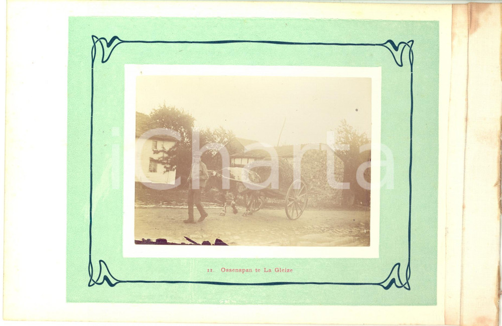 1910 ca LA GLEIZE (BELGIO) Trasporto di erbe su un carretto - Foto VINTAGE  Fotografia originale d'epoca.La fotografia &egrave; montata su cartoncino rigido, con margine telato, poich&eacute; era parte di un album o serie.Didascalia originale: "11. Ossenspan te La Gleize".CONDIZIONI: G (ma lievi macchie al margine telato)FORMATO: 23x15 cm (cartoncino); 11x8 cm (fotografia)    originale e autentica 1