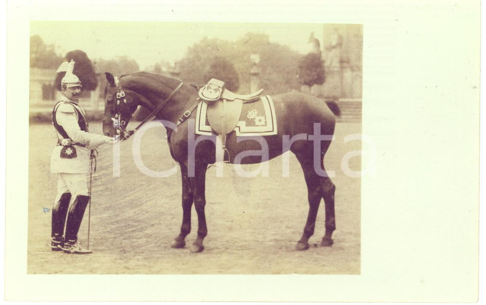 1905 ca POTSDAM GERMANY Kaiser Wilhelm II and a horse - Portrait *Photo postcard  Fotografia originale d'epoca, in formato cartolina postale.In sovraimpressione &egrave; indicato l'editore, Georg Stilke, Berlin.CONDIZIONI: fair (piccola macchia e lievi difetti di stampa)FORMATO: FP    originale e autentica 1