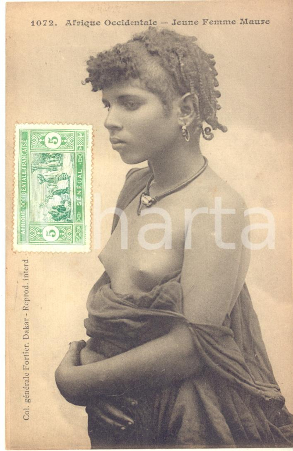 1910 ca ETHNIC NUDE Afrique Occidentale SENEGAL - Jeune Femme Maure *Postcard Cartolina postale d'epoca, non viaggiata.FORMATO: FPCONDIZIONI: G    originale e autentica 1
