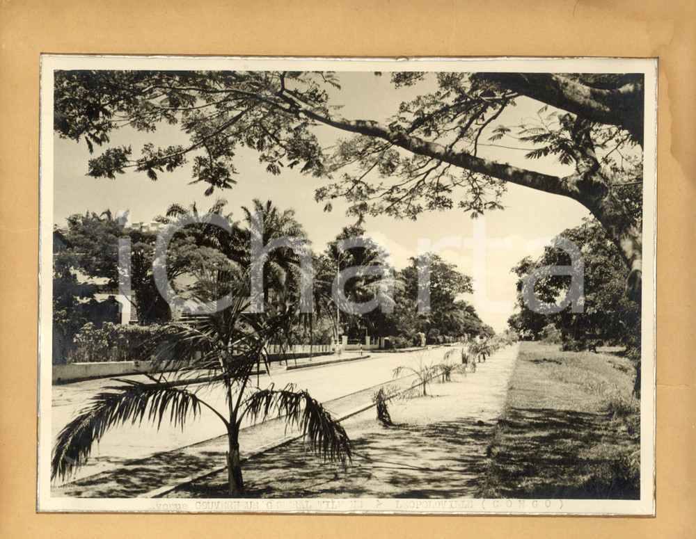 1960 ca LEOPOLDVILLE (CONGO) Avenue Gouverneur general TILKENS *Photo 28x22  Fotografia d'epoca, incorniciata con passepartout in cartone.CONDIZIONI: FAIR (fotografia in buone condizioni, ma piegature  e lievi macchie alla cornice in cartone)FORMATO: 24x18 cm (fotografia); 28x22 cm (cartoncino)    originale e autentica 1