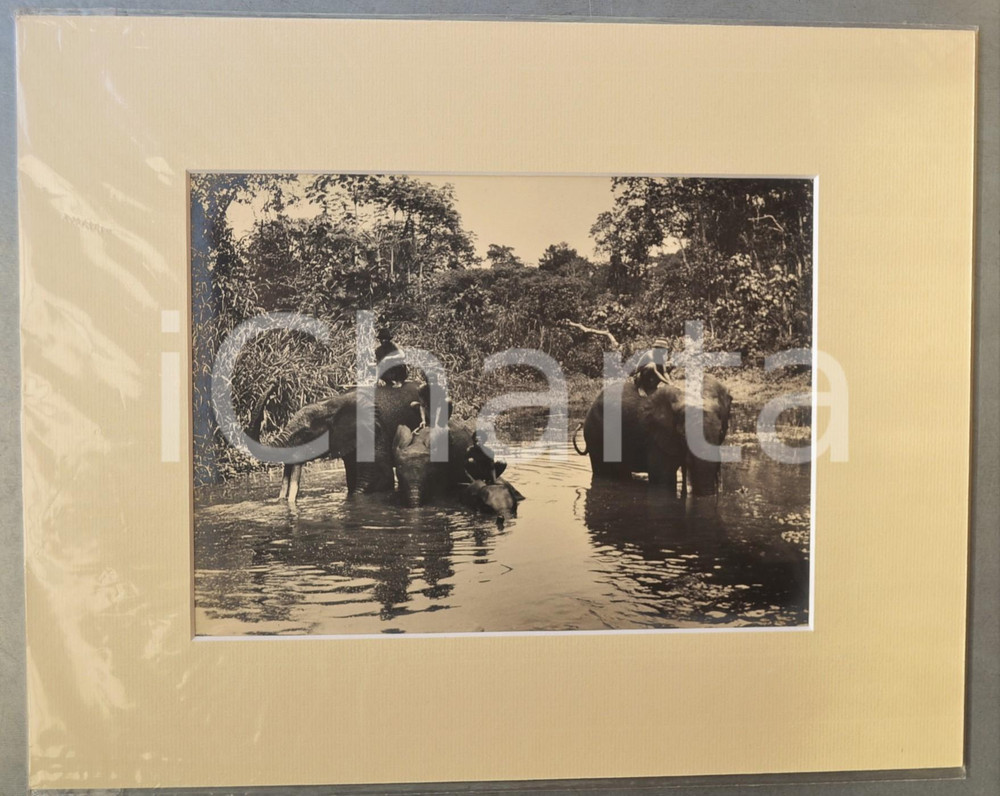 1950 ca AFRICA Indigeni al fiume con elefanti - Foto Jacques DONCQ 35x28 cm  Fotografia originale d'epoca, incorniciata con passepartout in cartoncino pesante e fissata con adesivo al retro.Velina protettiva.FOTOGRAFO: Jacques DoncqCONDIZIONI: GFORMATO: 24x18 cm (fotografia); 35x28 cm (cartoncino)    originale e autentica 1