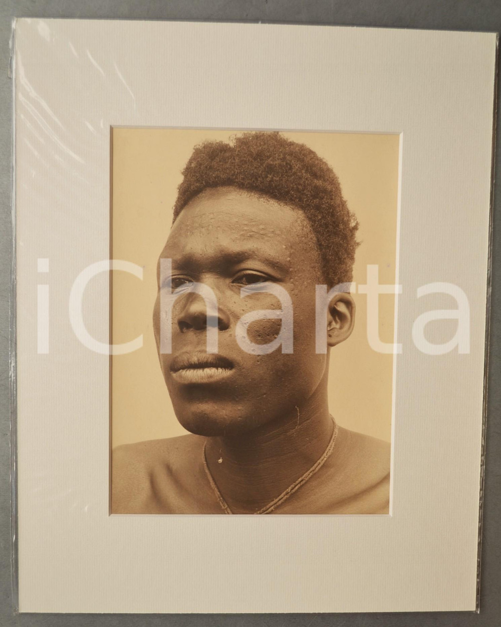 1950 ca AFRICA Ritratto giovane uomo - Scarificazione *Foto Jacques DONCQ 28x35  Fotografia originale d'epoca, incorniciata con passepartout in cartoncino pesante e fissata con adesivo al retro.Velina protettiva.FOTOGRAFO: Jacques DoncqCONDIZIONI: GFORMATO: 18x24 cm (fotografia); 28x35 cm (cartoncino)    originale e autentica 1