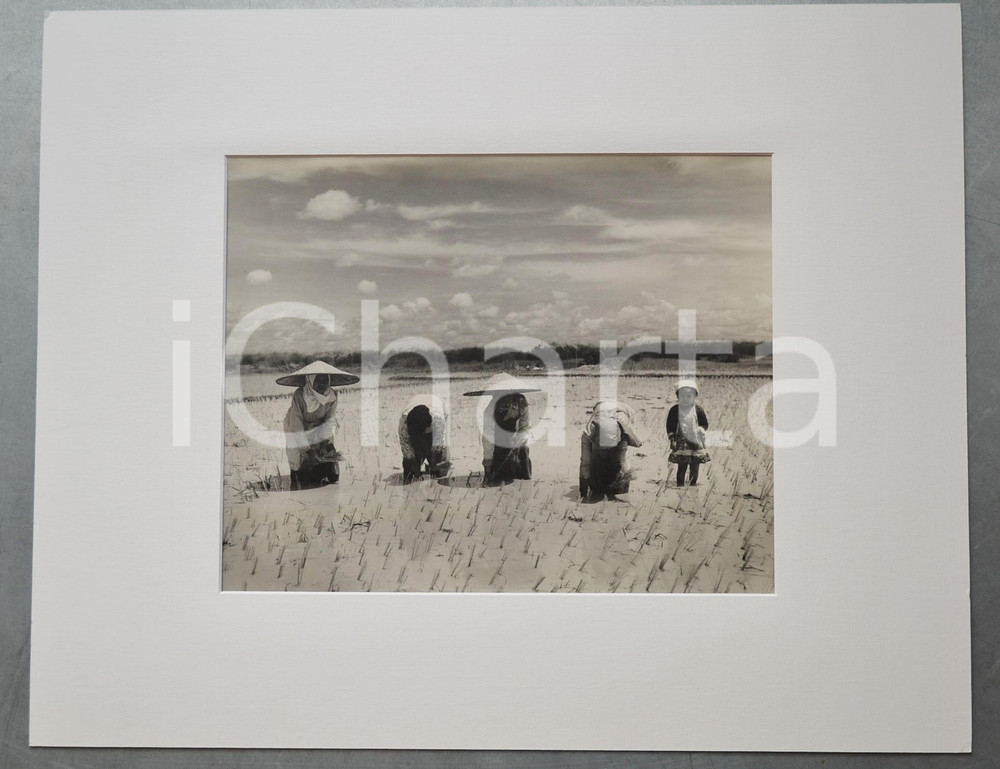 1950 ca PHILIPPINES Women planting rice - Photo CHAS. W. MILLER 50x40 cm  Fotografia artistica, completa di passepartout in cartoncino, con timbro del fotografo al verso.FOTOGRAFO: Chas. W. Miller - Camera Shop., Inc.CONDIZIONI: G FORMATO: 50x40 cm     originale e autentica 1
