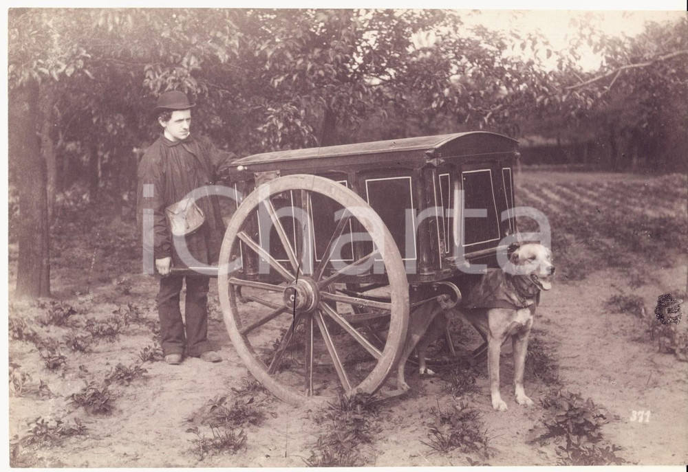 1900 ca BELGIUM Baker with his dog cart - Photo J. AYMOND - BRUXELLES 18x12 cm  Fotografia d'epoca, su carta sottile.CONDIZIONI: GFORMATO: 18x12 cm    originale e autentica 1