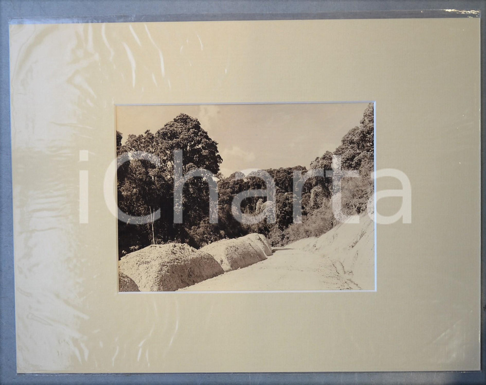 1950 ca AFRICA Una strada nella giungla -  Foto artistica Jacques DONCQ 40x30 cm  Fotografia originale d'epoca, incorniciata con passepartout in cartoncino pesante e fissata con adesivo al retro.Velina protettiva.FOTOGRAFO: Jacques DoncqCONDIZIONI: GFORMATO: 23x17 cm (fotografia); 40x30 cm (cartoncino)    originale e autentica 1