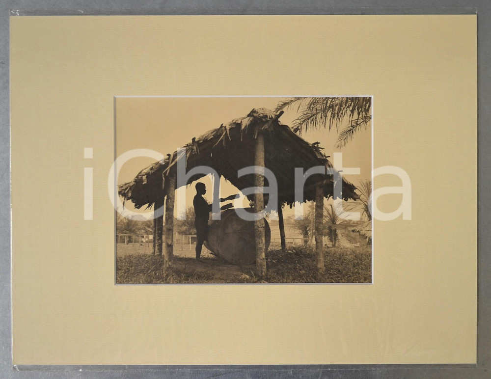 1950 ca AFRICA Percussionista in un villaggio - Foto Jacques DONCQ 40x30 cm  Fotografia originale d'epoca, incorniciata con passepartout in cartoncino pesante e fissata con adesivo al retro.Velina protettiva.FOTOGRAFO: Jacques DoncqCONDIZIONI: GFORMATO: 23x17 cm (fotografia); 40x30 cm (cartoncino)    originale e autentica 1