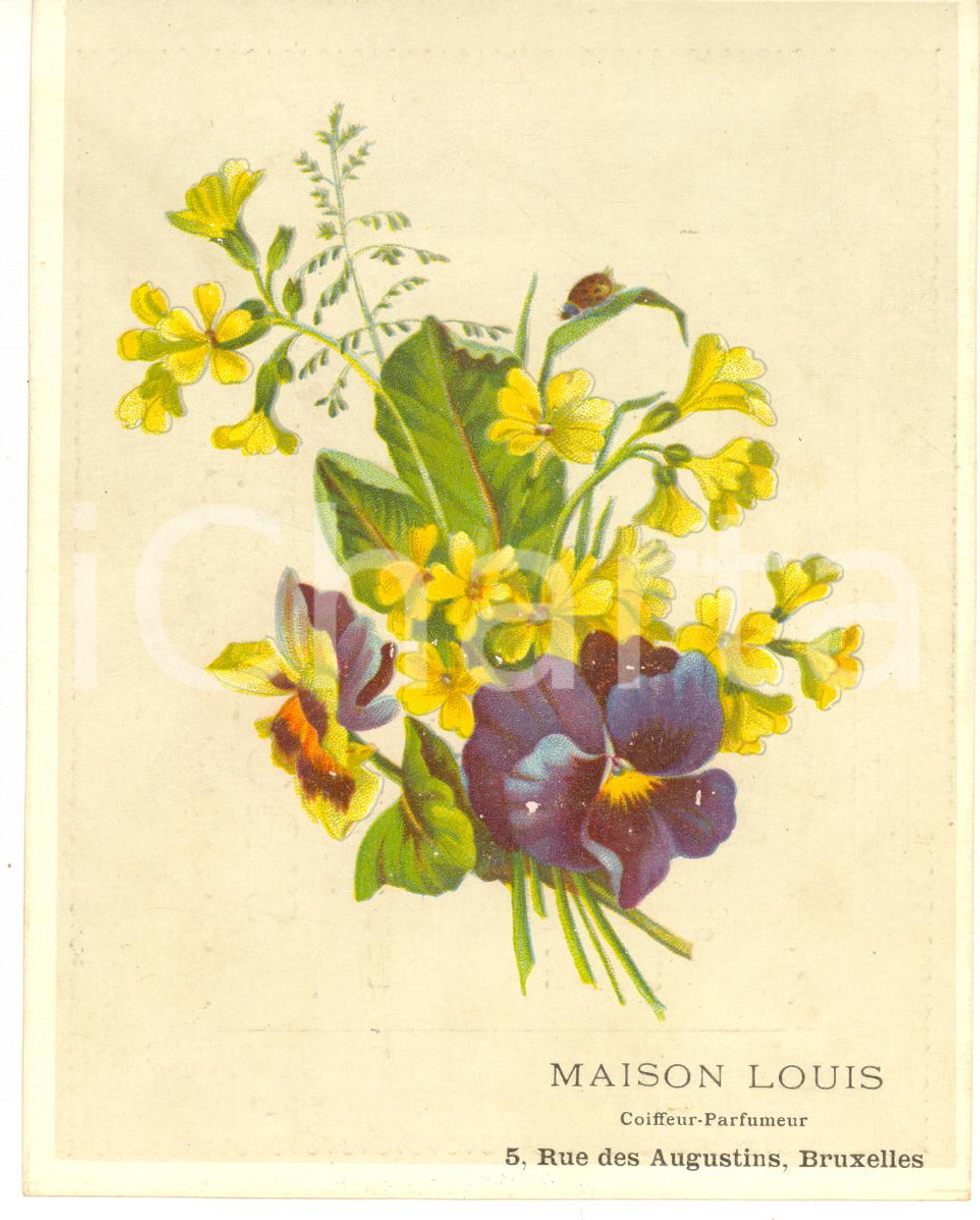1900 ca BRUXELLES Maison LOUIS Coiffeur-Parfumeur - Carte publicitaire (1) 12x15  Cartoncino pubblicitario d'epoca, originale, con tariffario al verso.CONDIZIONI: GFORMATO: 12x15 cm    originale e autentica 1