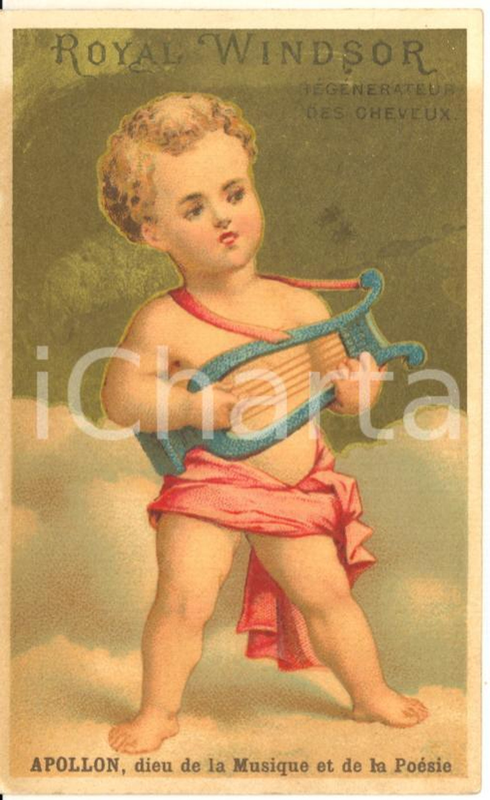 1890 ca ROYAL WINDSOR Régénérateur cheveux - Chromo publicitaire APOLLON 6x10 cm  Cartoncino pubblicitario originale d'epoca, stampato in cromolitografia, con testo al verso.CONDIZIONI: GFORMATO: 6x10 cm    originale e autentica 1