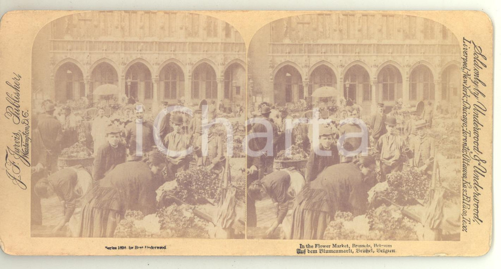 1894 BRUSSELS (BELGIUM) In the Flower Market - Stereo photo JARVIS / UNDERWOOD Fotografia stereoscopica d'epoca, su cartoncino rigido.FORMATO: 17x8 cmCONDIZIONI: GAUTORE: J. F. Jarvis Publisher -  Underwood &amp; Underwood    originale e autentica 1