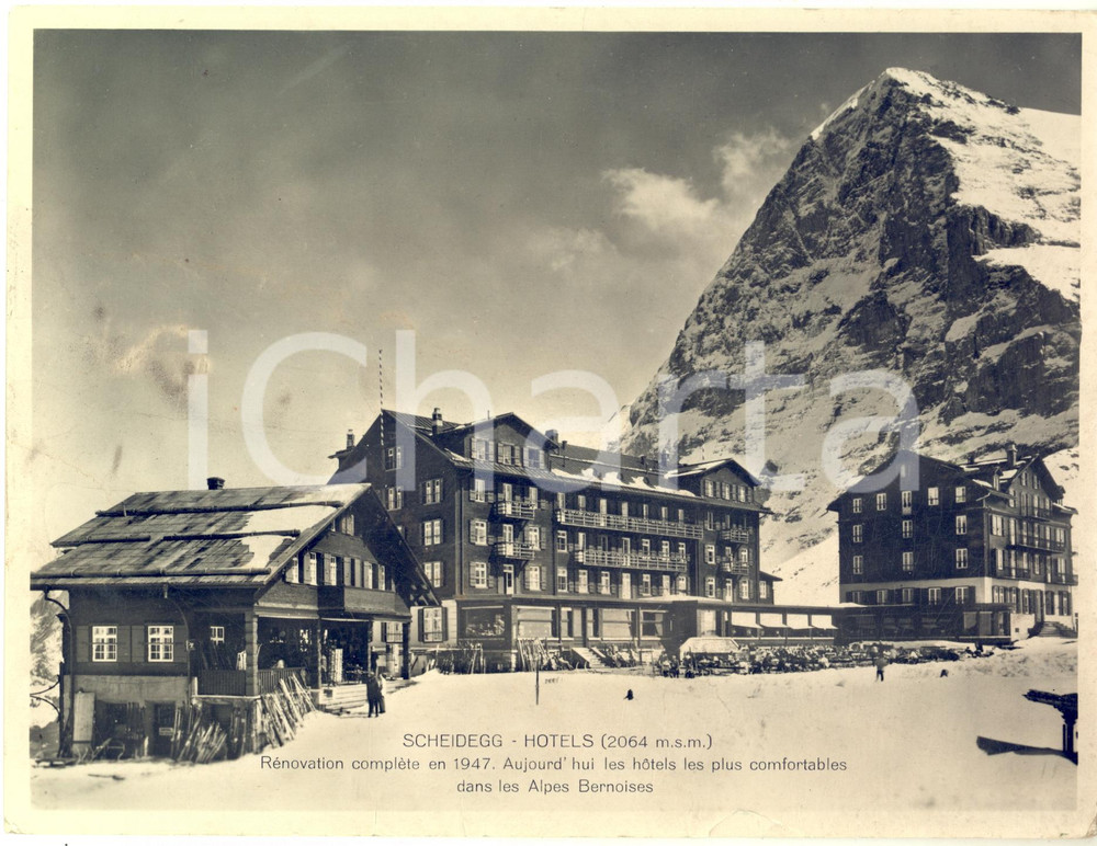 1950 ca KLEINE SCHEIDEGG (CH) ALPI - Hotel - Fotografia 24x18 cm Fotografia d'epoca.CONDIZIONI: POOR (piegature marginali e lievi macchie)FORMATO: 24x18 cm    originale e autentica 1