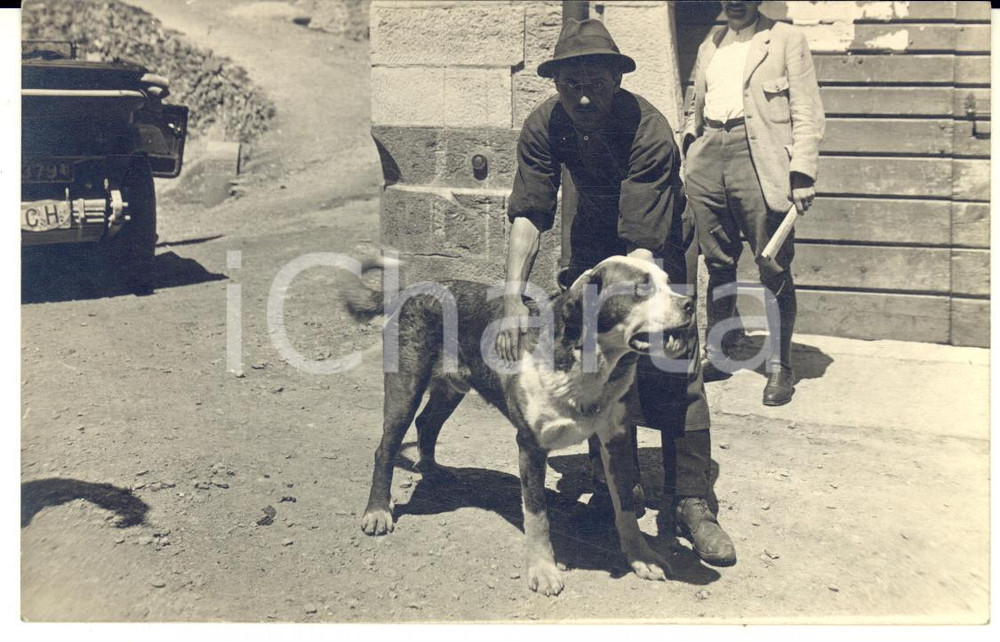 1925 ca SUISSE Homme avec son chien Saint-Bernard - Photo 14x9 cm Fotografia d'epoca, in formato cartolina postale.CONDIZIONI: GFORMATO: 14x9 cm    originale e autentica 1