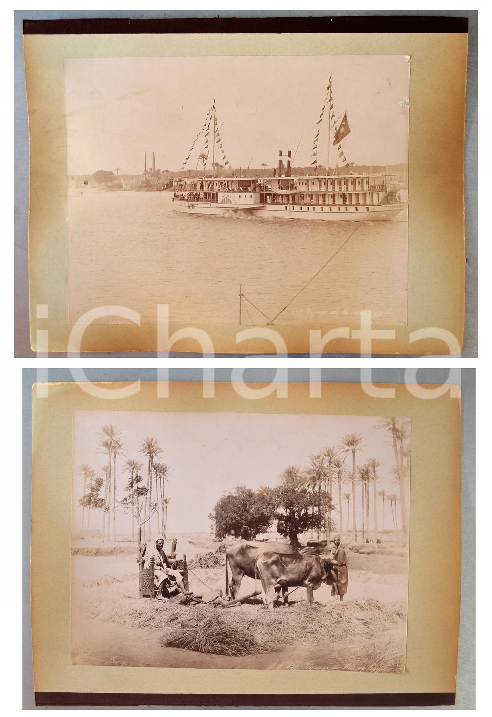 1880 ca EGYPTE - Adelphoi ZANGAKI - Bateau RAMSES - Piquage du blé *2 photos Coppia di fotografie originali d'epoca, stampate all'albumina e montate sui due lati di un cartoncino rigido (telato a un margine).Le fotografie recano didascalia, numero e firma al negativo. Didascalie originali: - "n&deg; 957 Voyage de la aute Egypte" (sic)- "n&deg; 220 Piquage du bl&eacute; en Egypte"FOTOGRAFO: George e Constantinos Zangakis (Adelphoi Zangaki)CONDIZIONI: G (minime mancanze marginali; piccole sbrecciature al cartoncino)FORMATO: 35x27 cm (cartoncino); 28x22 cm (fotografie)    originale e autentica 1
