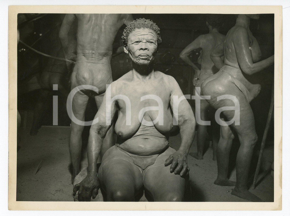 Fotografia d epoca originale 1960 ca CAPE TOWN S.A. Museum Life cast from cape Bushman from CARNARVON  Photo 1