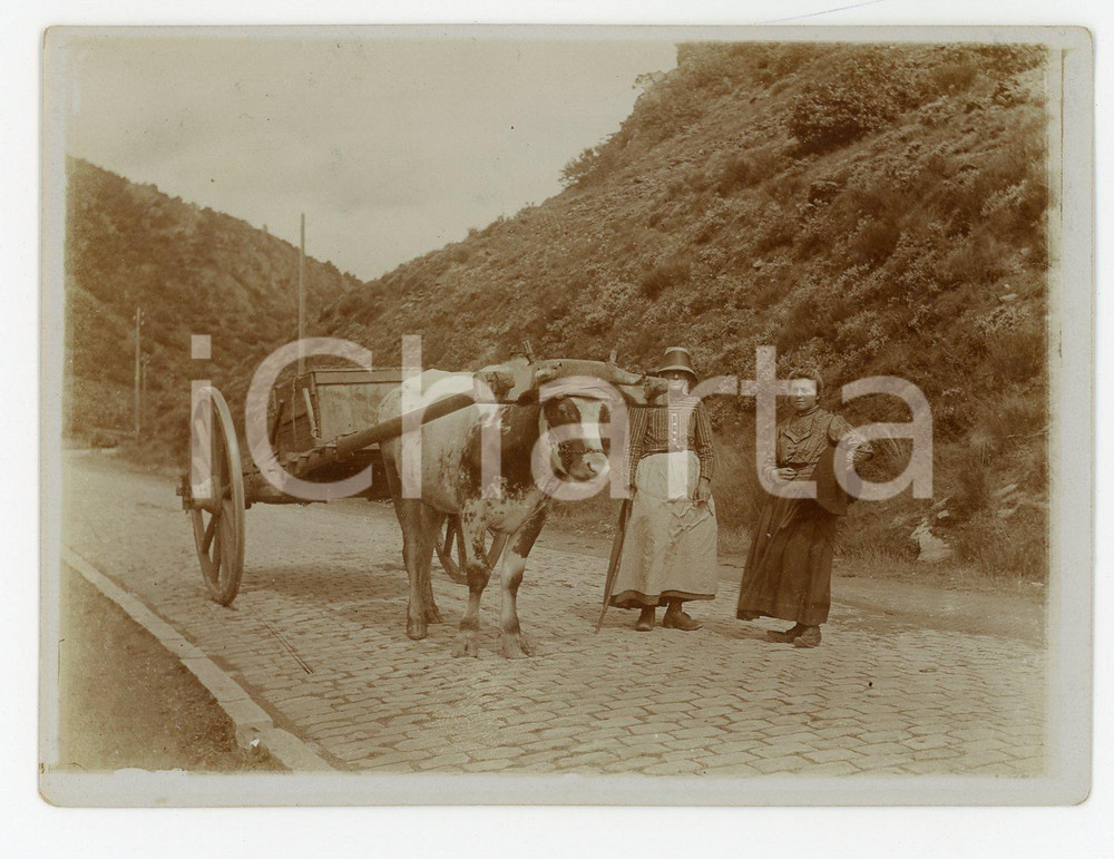 1914 ARDENNES / FRANCE Attelage ardennais - Photo Joseph THONON RARE 12x9 cm  Fotografia originale d'epoca, con didascalia manoscritta al verso.FOTOGRAFO: Joseph ThononCONDIZIONI: GFORMATO: 12x9 cm    originale e autentica 1