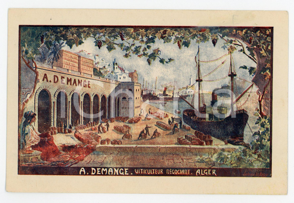 1900 ca ALGER A. DEMANGE Viticulteur négociant - Carte postale illustrée RARE Cartolina postale d'epoca, illustrata, pubblicitaria.Non viaggiata.CONDIZIONI: GFORMATO: FP    originale e autentica 1