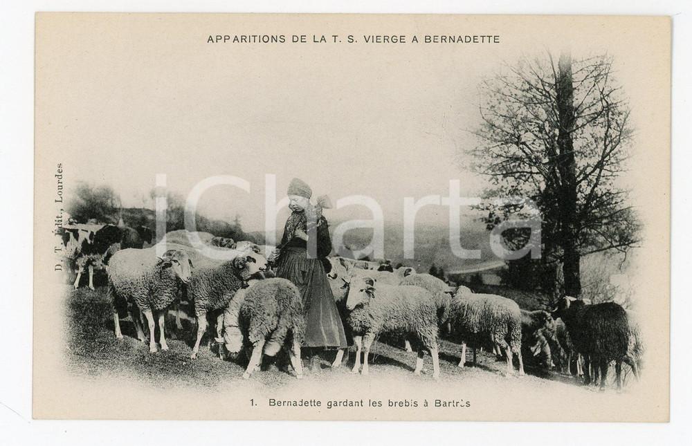 1905 ca LOURDES Apparition Vierge - Bernadette gardant les brebis - Postcard  Cartolina postale d'epoca, non viaggiata.EDITORE: D.T. Edit., LourdesCONDIZIONI: GFORMATO: FP    originale e autentica 1