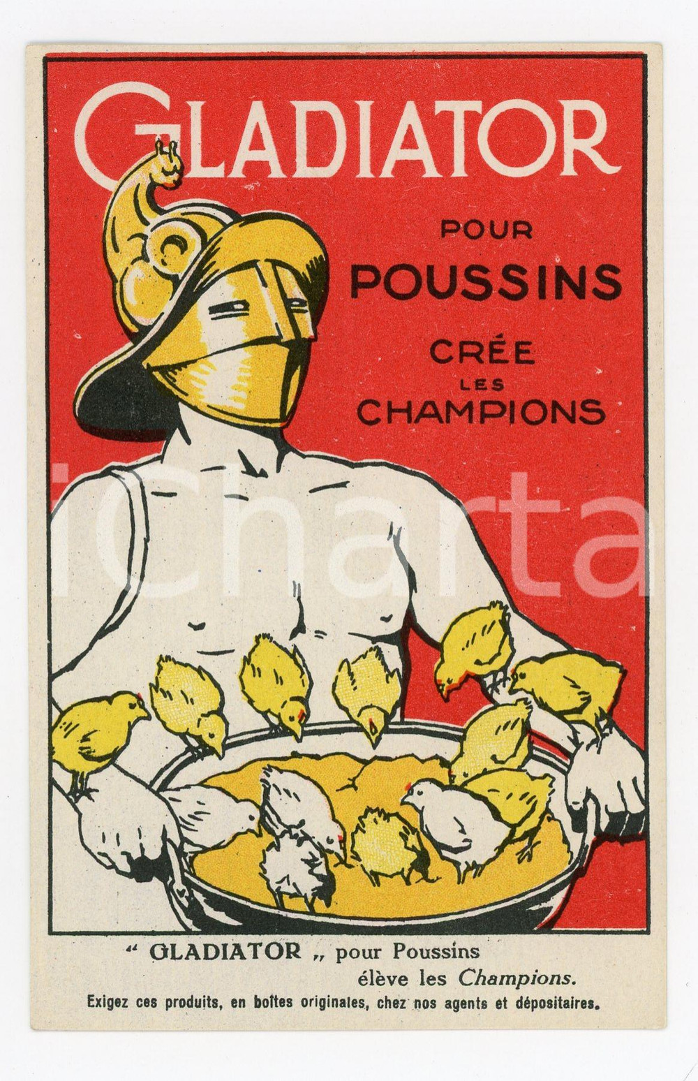 1910ca  FRANCE Produits CHAMPION - GLADIATOR pour poussins ILLUSTRATED Postcard  Cartolina postale d'epoca, non viaggiata.CONDIZIONI: FFORMATO: FP    originale e autentica 1