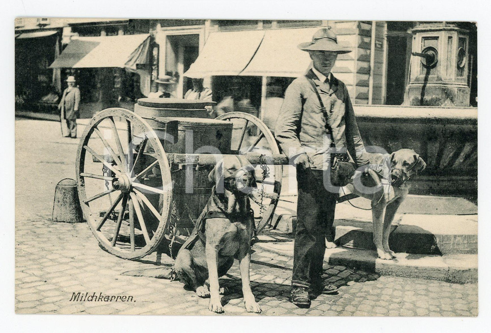 1910 ca SWITZERLAND COSTUMES Milchkarren - Dog cart - Vintage postcard Cartolina postale d'epoca, non viaggiata.CONDIZIONI: GFORMATO: FP    originale e autentica 1