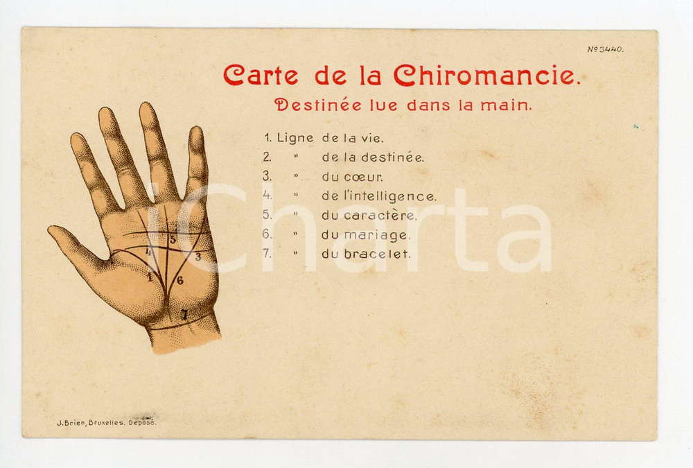 1900 ca BELGIQUE Carte de la CHIROMANCIE Lignes lecture destinée - Carte postale  Cartolina postale d'epoca, non viaggiata.EDITORE: J. Brien - BruxellesCONDIZIONI: G (minimi ingiallimenti)FORMATO: FP    originale e autentica 1