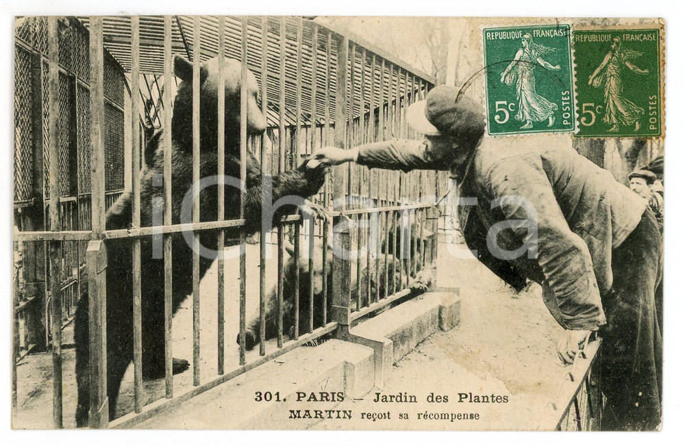 1910 ca PARIS - Jardin des Plantes - Ours Martin reçoit sa récompense - Postcard Cartolina postale, originale d'epoca, viaggiata. FAIR/discreto lieve residuo di colla al recto Formato: 14x9 cm originale e autentica 1