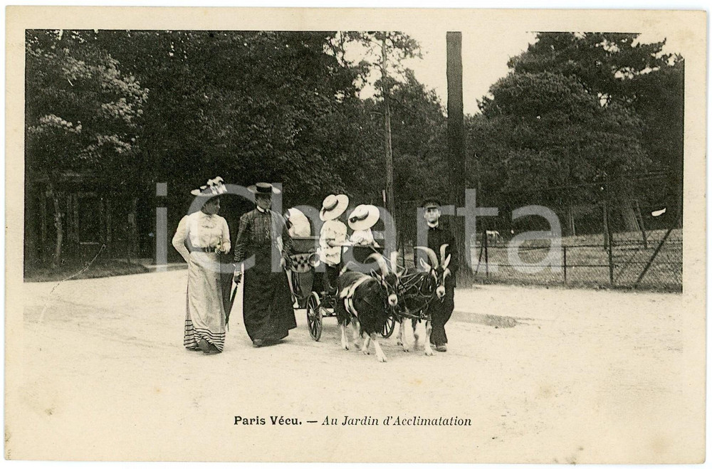 1900 ca PARIS VECU - Au Jardin d'Acclimatation - Carte postale ANIMEE  Cartolina postale d'epoca, non viaggiata. GOOD/buono  Formato: 14x9 cm originale e autentica 1