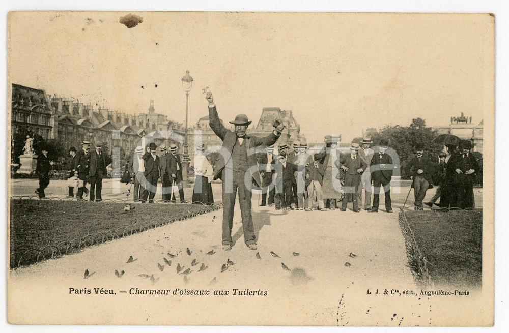 1906 PARIS VECU - Charmeur d'oiseaux aux Tuileries - Carte postale ANIMEE  Cartolina postale d'epoca, viaggiata. GOOD/buono  Formato: 14x9 cm originale e autentica 1