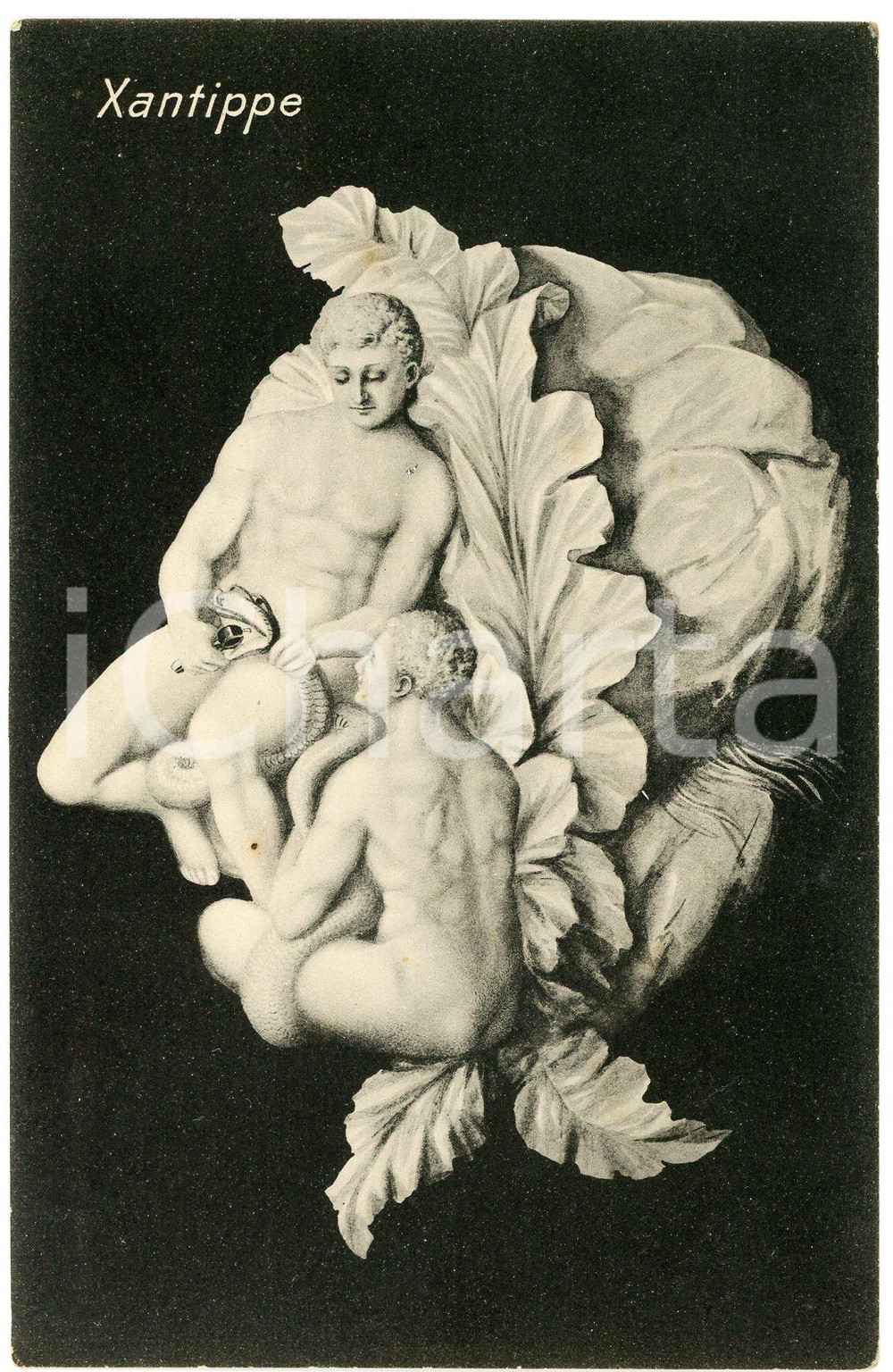1920ca EROTICA - TÊTE TROMPEUSES Xantippe - Metamorphic postcard FP NV  Cartolina postale d'epoca, non viaggiata.EDITORE: AVS - Serie: Tetes Trompeuses n.8CONDIZIONI: FAIR FORMATO: FP    originale e autentica 1
