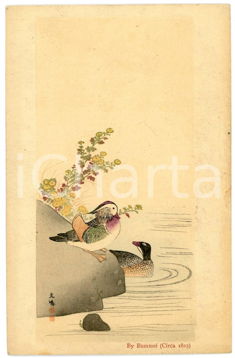 1910 ca JAPAN Oku BUNMEI Ducks in a pond - Illustrated vintage postcard  Cartolina postale d'epoca, non viaggiata.CONDIZIONI: GFORMATO: FP    originale e autentica 1