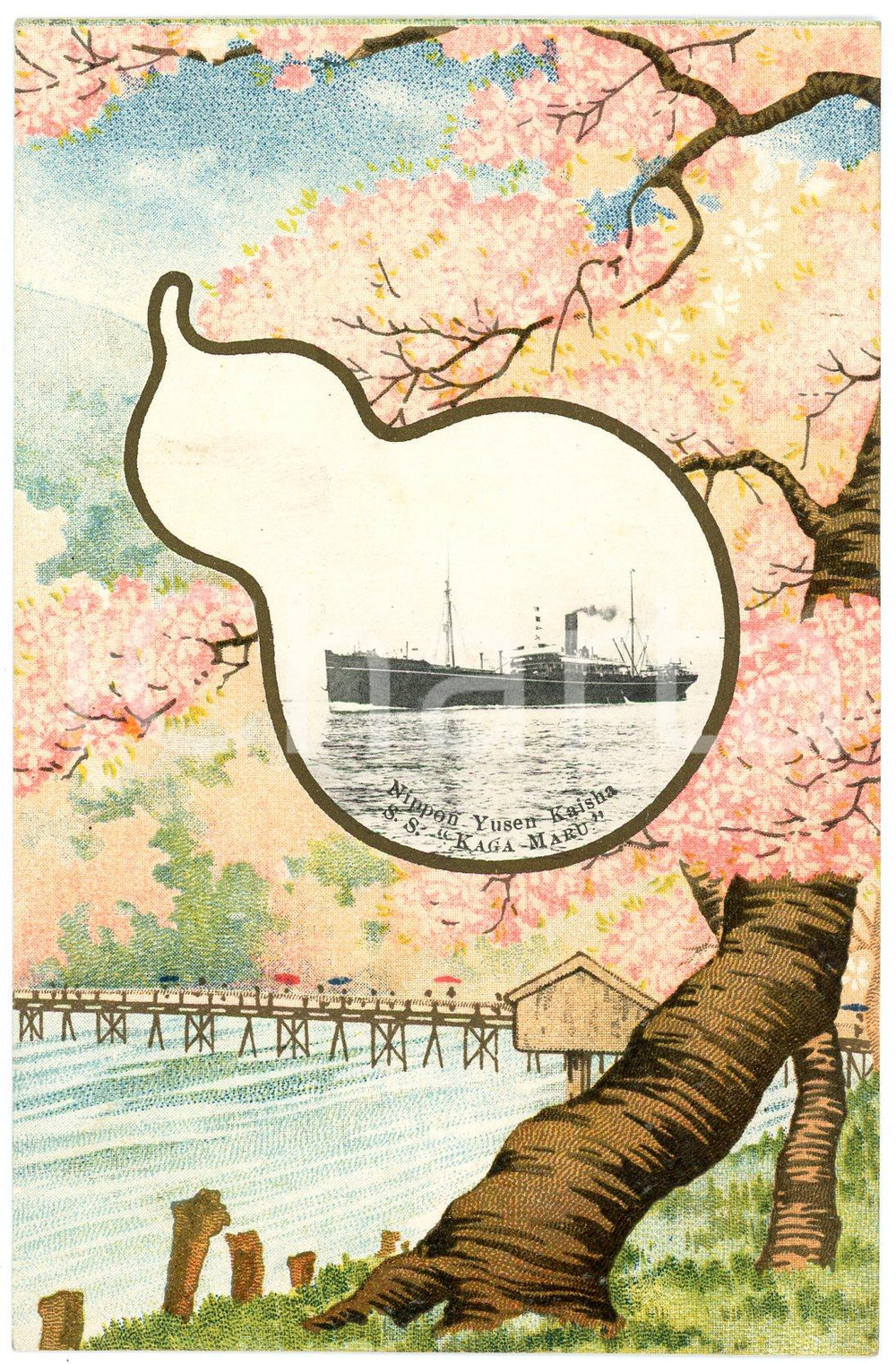 1920 ca JAPAN NYK Nippon Yusen Kaisha - S.S. KAGA MARU Postcard ship cherry tree  Cartolina postale d'epoca, illustrata.Non viaggiata.CONDIZIONI: GFORMATO: FP    originale e autentica 1