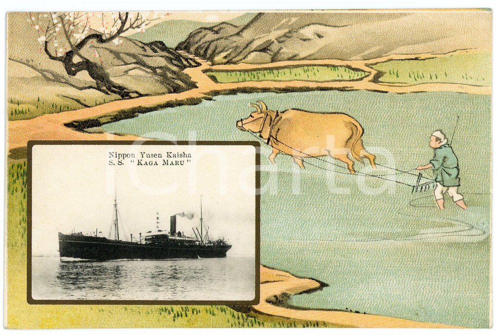 1920 ca JAPAN NYK Nippon Yusen Kaisha - S.S. KAGA MARU *Postcard ship ploughing  Cartolina postale d'epoca, illustrata.Non viaggiata.CONDIZIONI: GFORMATO: FP    originale e autentica 1