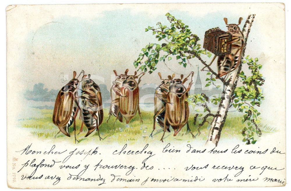 1902 ANIMALS INSECTS Dance scene  - Anthropomorphic vintage postcard GLITTERED  Cartolina postale d'epoca, viaggiata.CONDIZIONI: FAIR (sbrecciature e piegature angolari)FORMATO: FP    originale e autentica 1