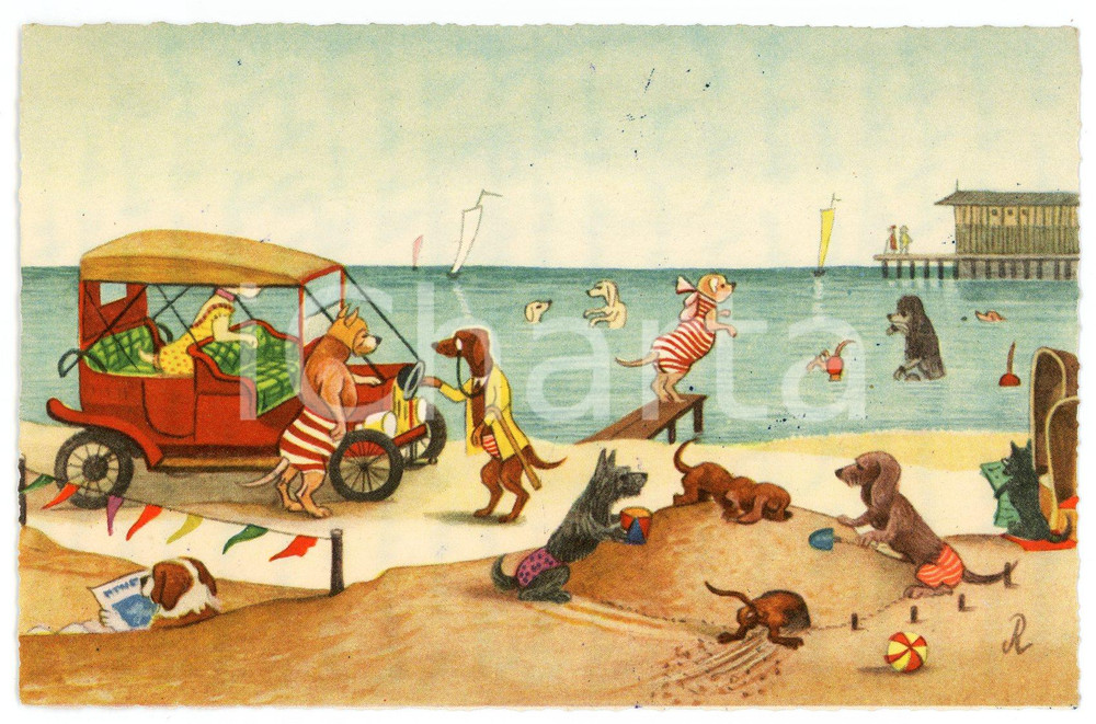 1950 ca ANIMAUX Chiens à la plage - Carte postale anthropomorphe ILLUSTREE  Cartolina postale d'epoca, scritta ma non viaggiata.CONDIZIONI: GFORMATO: FP    originale e autentica 1