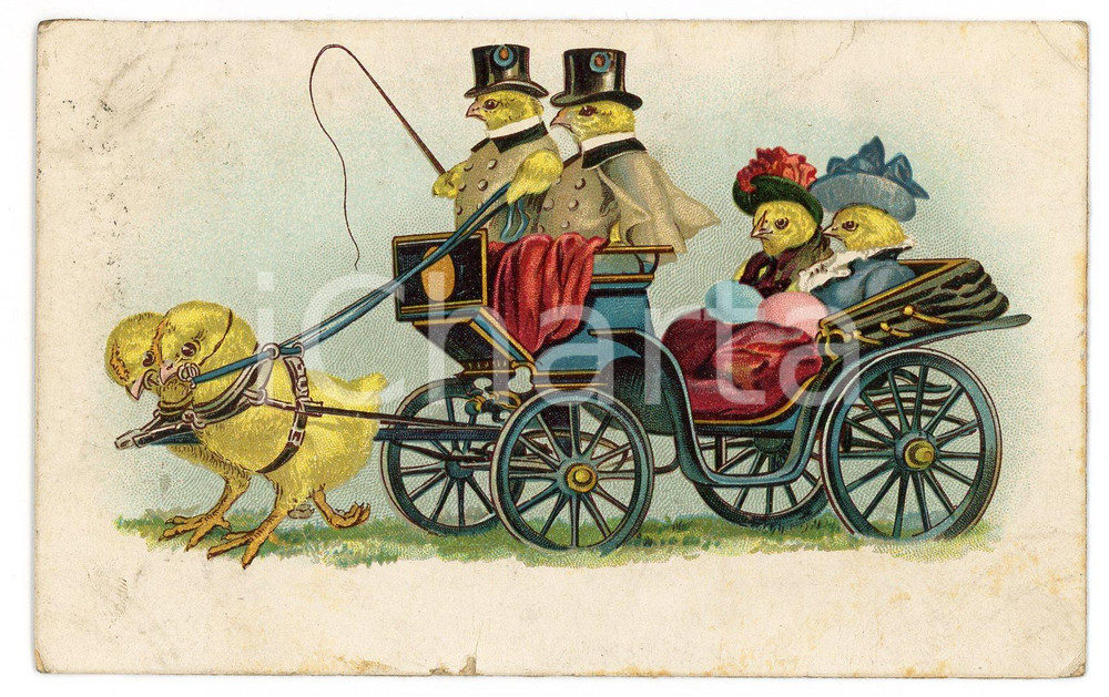 1913 ANIMAUX Poulets en carrosse - Carte postale anthropomorphe ILLUSTREE  Cartolina postale d'epoca, viaggiata.CONDIZIONI: FAIR (piegature angolari e sbrecciature al lato inferiore)FORMATO: FP    originale e autentica 1