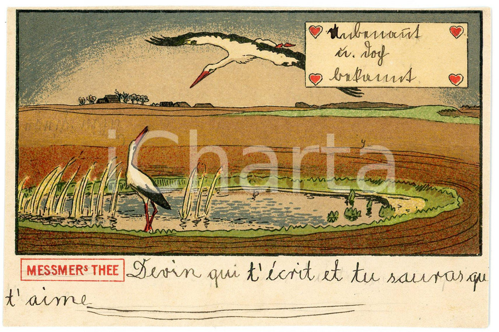 1900 ca Ducks in a pond - MESSMERS THEE *Advertising illustrated postcard  Cartolina postale d'epoca, scritta ma non viaggiata.CONDIZIONI: G (ma piccola piegatura angolare)FORMATO: FP    originale e autentica 1