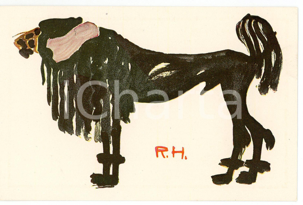 1920 ca Artist R. HILLE - Der adlige Pudel - Illustrated postcard AK  Cartolina postale d'epoca, illustrata, non viaggiata.CONDIZIONI: gFORMATO: FPEDITORE: Georg D. W. Callwey - Munchen    originale e autentica 1