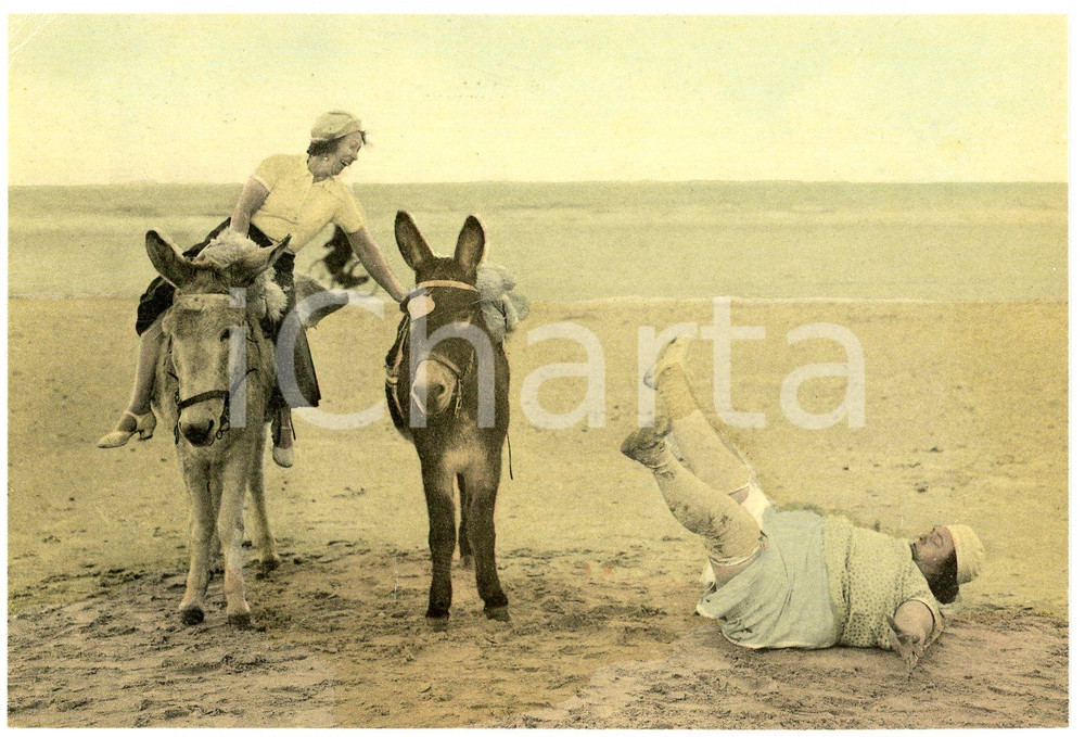 1950ca FRANCE - HUMOUR Fat woman falling off of a donkey - Postcard FP NV  Cartolina postale d'epoca, non viaggiata.CONDIZIONI: FAIRFORMATO: FP    originale e autentica 1