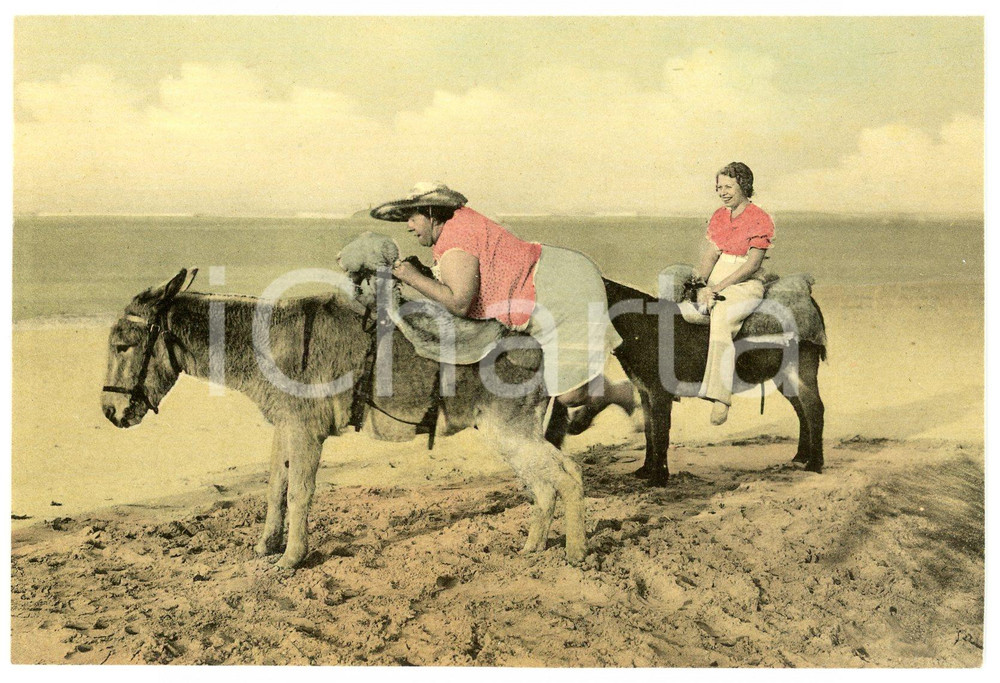 1950 ca FRANCE - HUMOUR  Fat woman on a donkey - Postcard FP NV (1)  Cartolina postale d'epoca, non viaggiata.CONDIZIONI: FAIRFORMATO: FP    originale e autentica 1