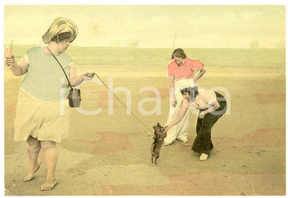 1950ca FRANCE - HUMOUR Fat woman with little dog - Postcard FP NV  Cartolina postale d'epoca, non viaggiata.CONDIZIONI: FAIRFORMATO: FP    originale e autentica 1