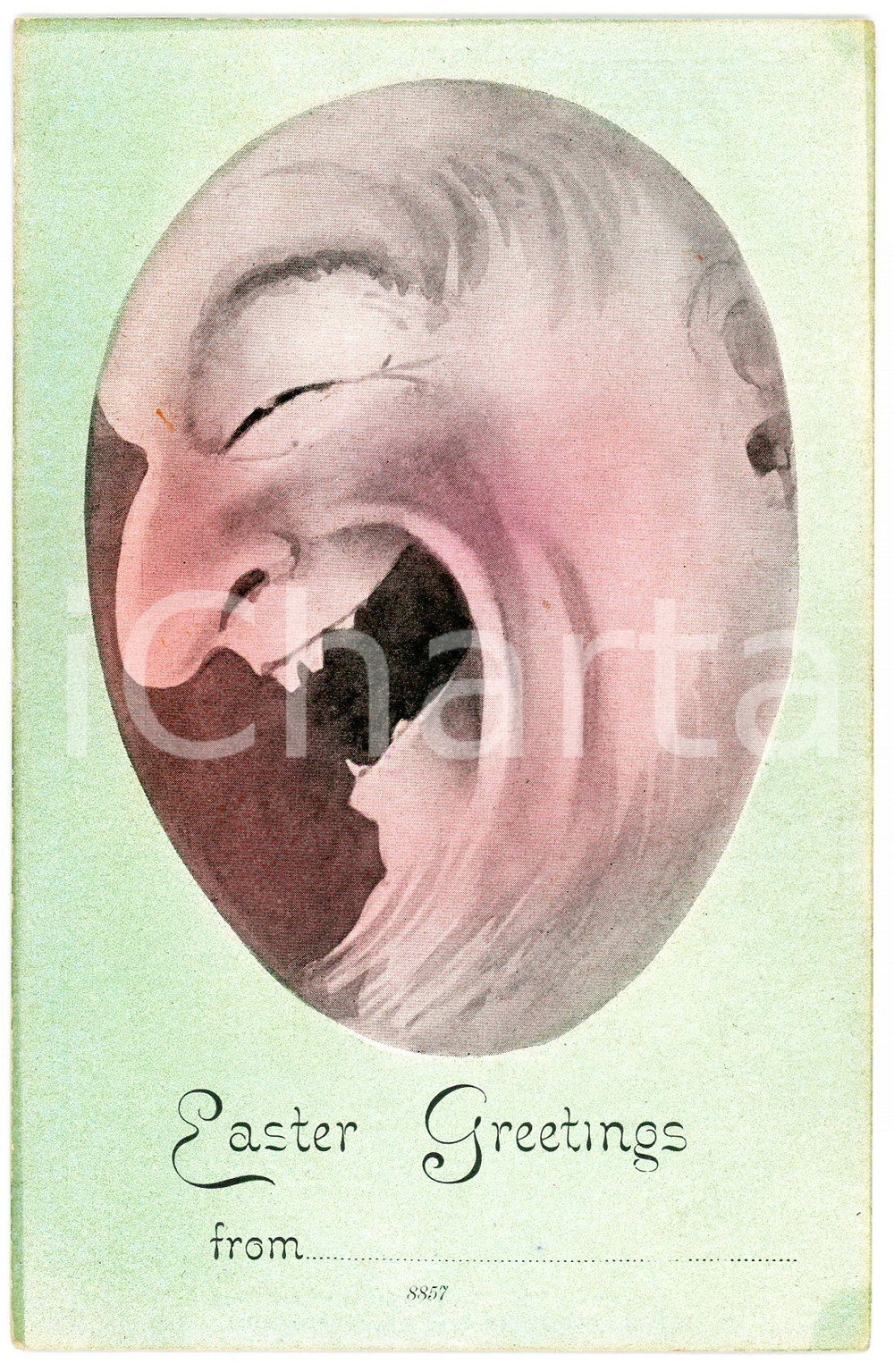 1905 ca EASTER GREETINGS Man laughing inside an egg - CYNICUS Company - Postcard  Cartolina postale d'epoca, non viaggiata.CONDIZIONI: GFORMATO: FP    originale e autentica 1