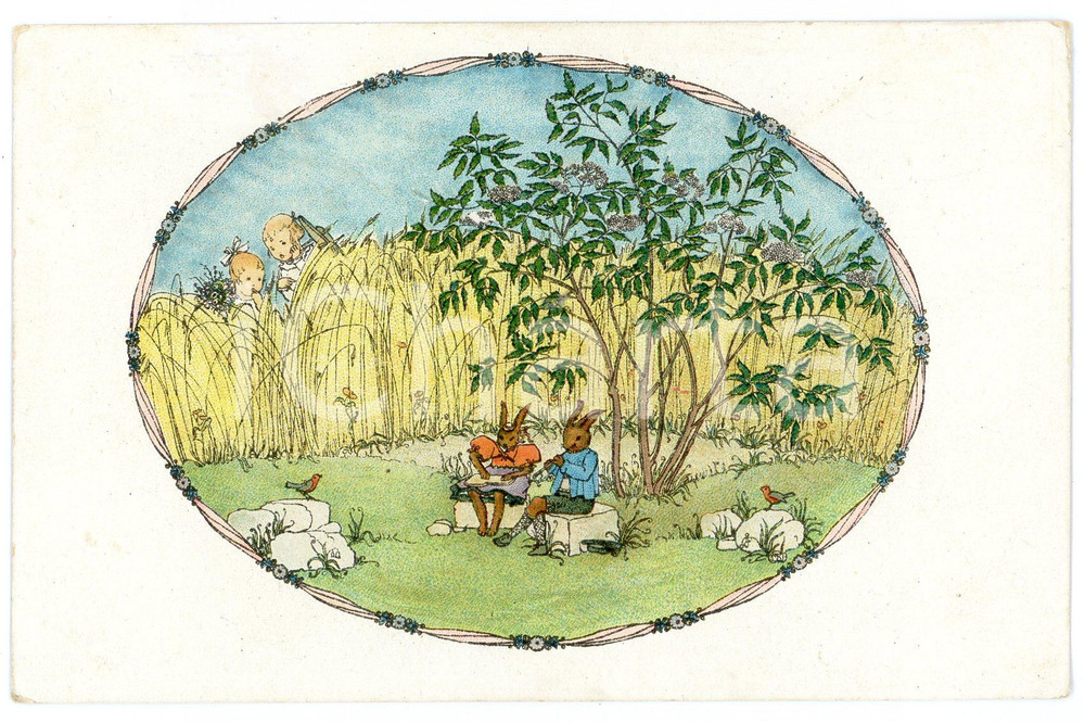 1910 ca ANIMALS Children find two rabbits playing musical instruments - Postcard  Cartolina postale d'epoca, non viaggiata ma con testo manoscritto al verso.CONDIZIONI: FAIR (lievi smussature agli angoli e affrancatura parzialmente rimossa)FORMATO: FP    originale e autentica 1
