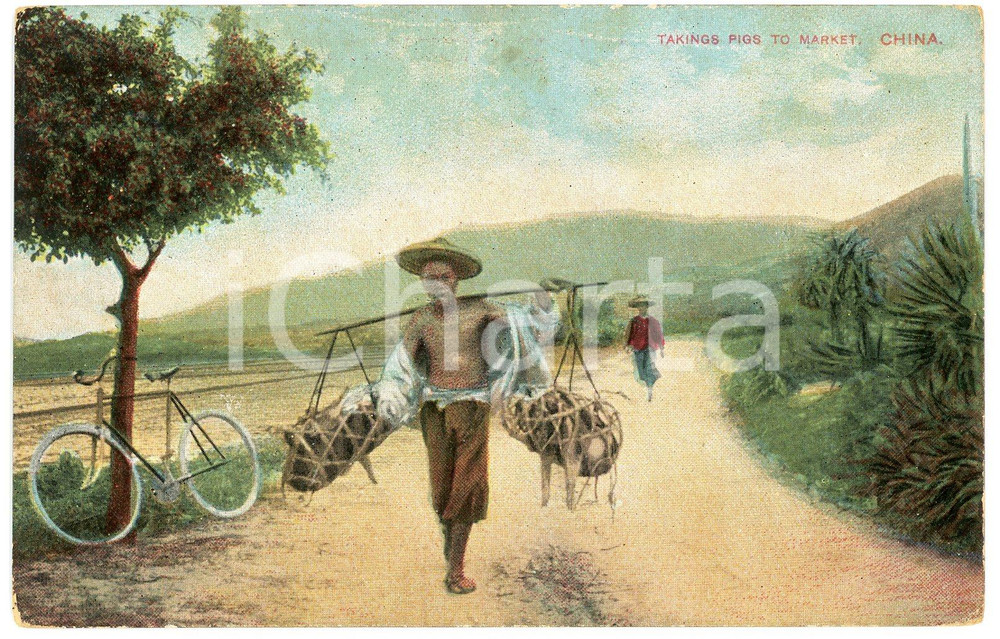 1915 ca CHINA Taking pigs to the market - Original chromo postcard BLEU RECKITT Cartolina postale d'epoca, non viaggiata, con pubblicit&agrave; Blue Reckitt al verso.CONDIZIONI: G (ma lievi macchie al verso)FORMATO: FP    originale e autentica 1