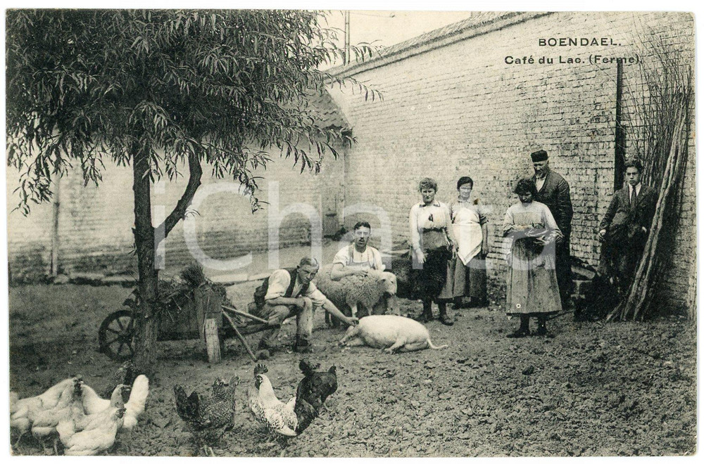 1910 ca BONDAEL (BELGIQUE) Café du Lac - Ferme - Carte postale ANIMEE RARE  Cartolina postale d'epoca, non viaggiata.Pubblicit&agrave; del caff&egrave;-ristorante al verso.CONDIZIONI: GFORMATO: FP    originale e autentica 1