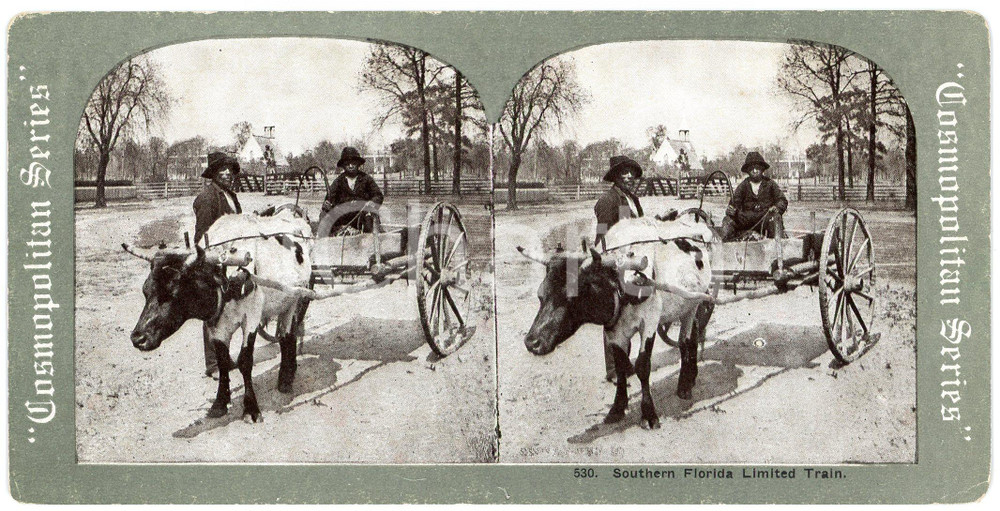1905 ca USA Southern FLORIDA Limited Train - Coloured ANIMATED Stereoview 530 Fotografia stereoscopica d'epoca, su cartoncino.Cosmopolitan SeriesFORMATO: 18x9 cmCONDIZIONI: G    originale e autentica 1